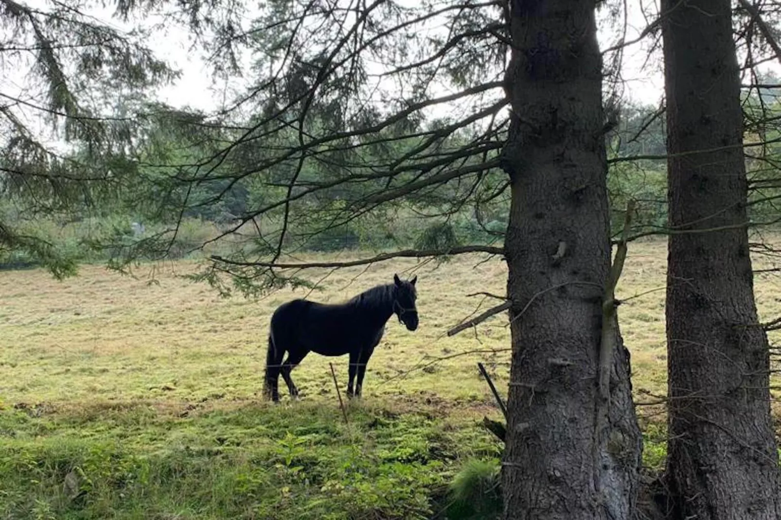 Aarbachblick-Gebieden zomer 1km