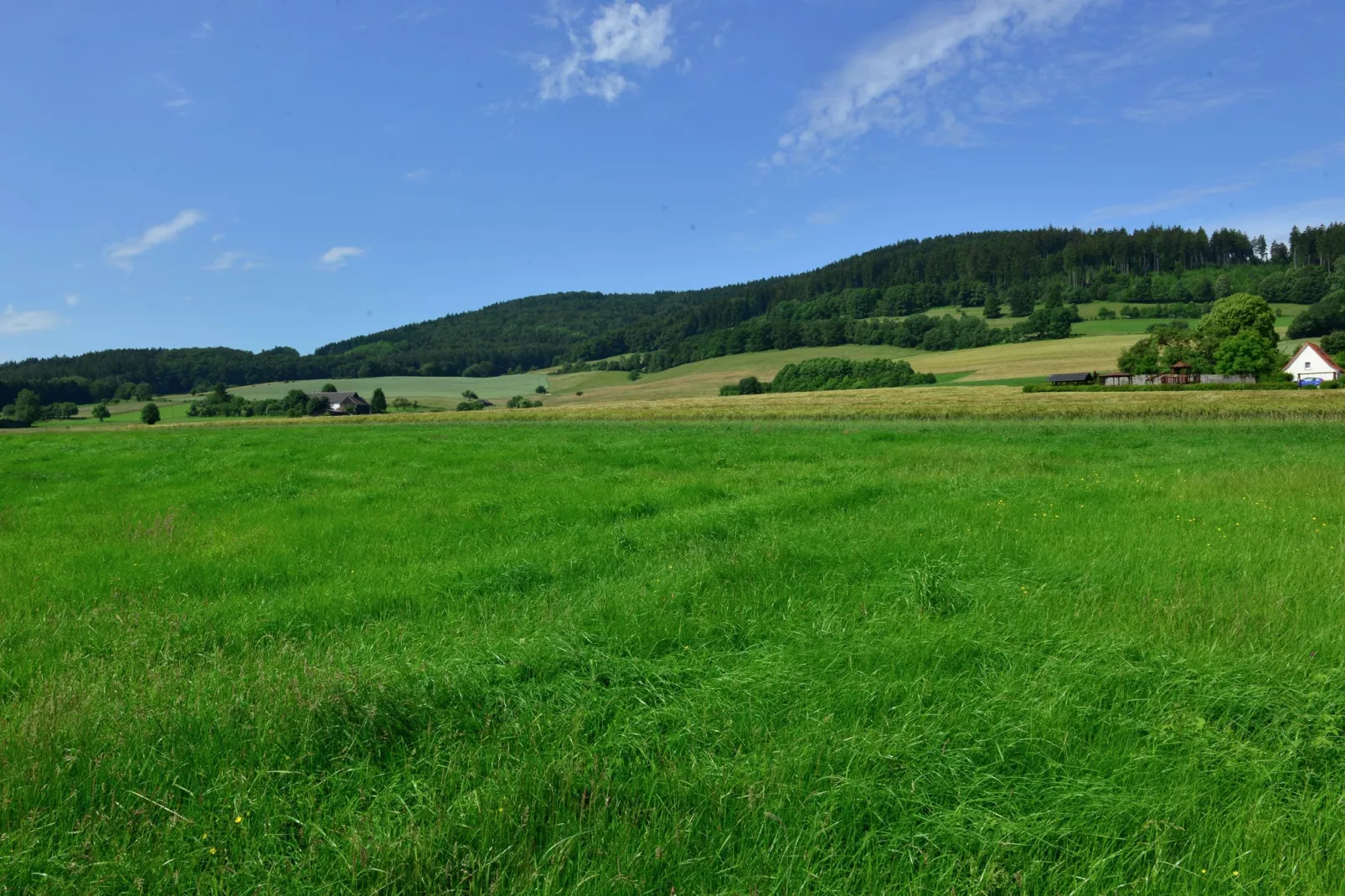 Sauerland - Diemelsee-Gebieden zomer 5km