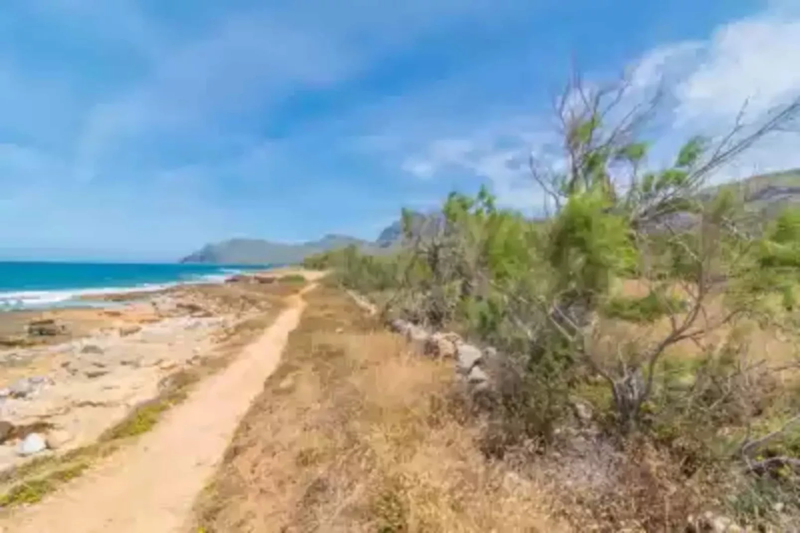 S'hort De Sa Bagura - Sa Formatgera-Gebieden zomer 5km