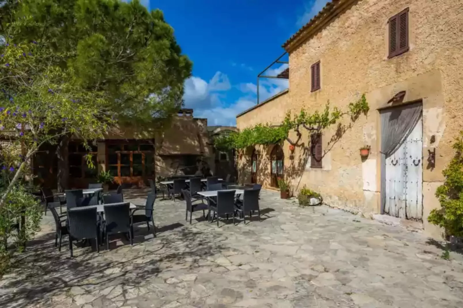 S'hort De Sa Bagura - Es Colomer-Terrasbalkon