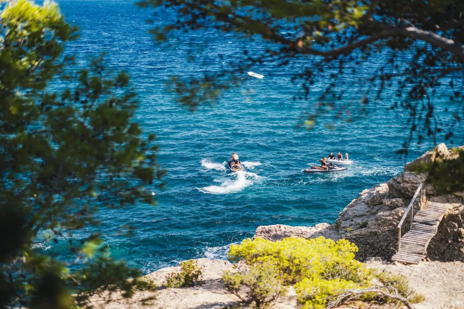 Ocean Paradise-Gebieden zomer 1km