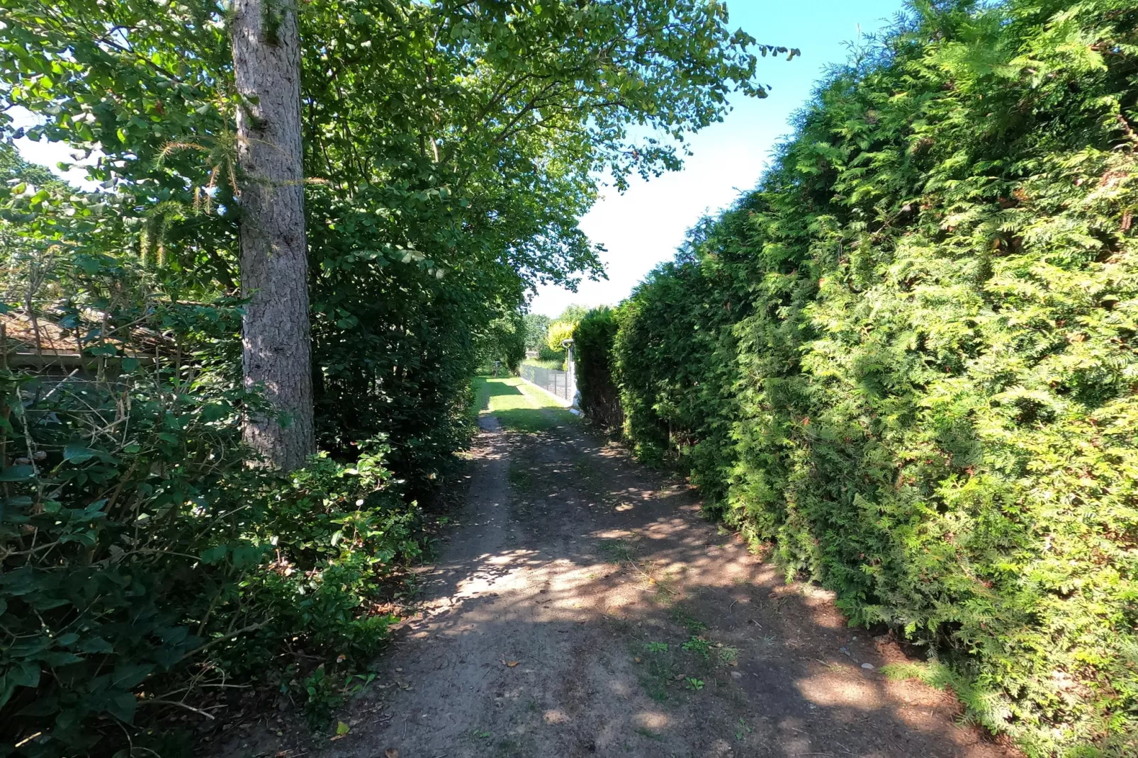 Ferienhaus mit Wasserblick 2 Pers-Buitenkant zomer