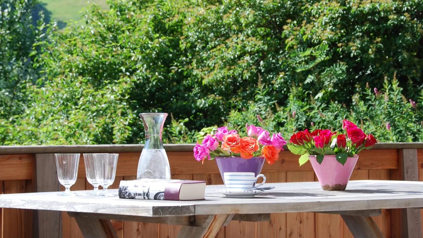 Bichlnwiesn-Terrasbalkon