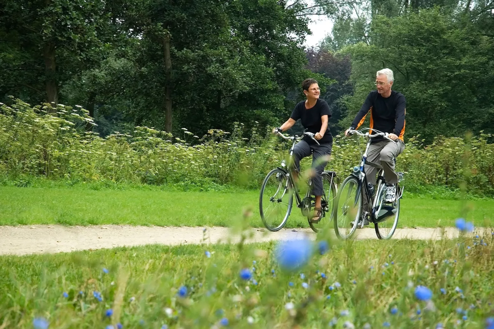 Resort Maasduinen 13-Gebieden zomer 1km