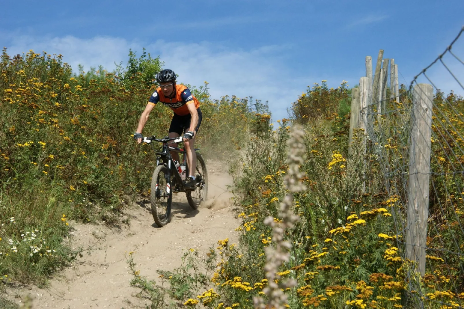 Resort Maasduinen 13-Gebieden zomer 1km