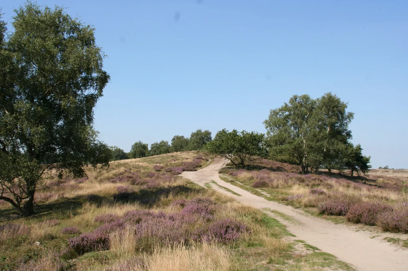 Resort Maasduinen 13-Gebieden zomer 5km