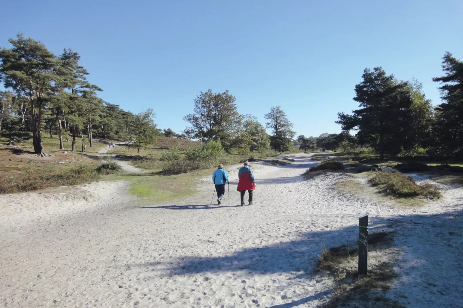 Resort Brunssummerheide 21-Gebieden zomer 5km