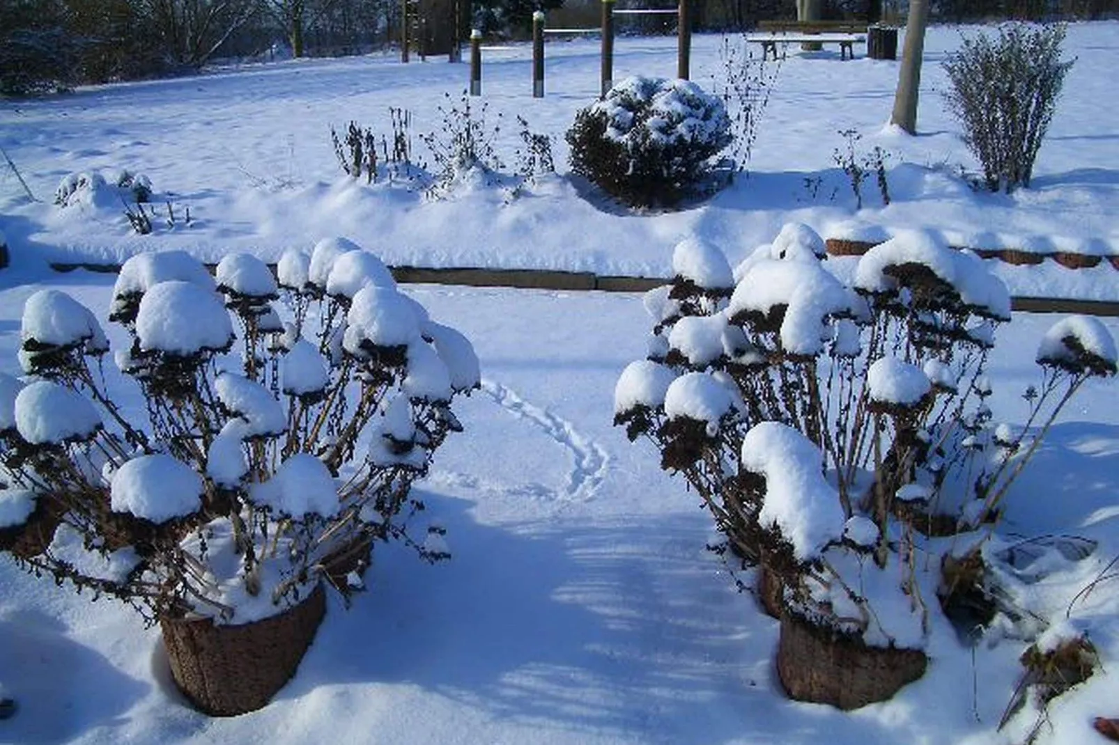 Feriendorf Uslar 2-Exterieur winter