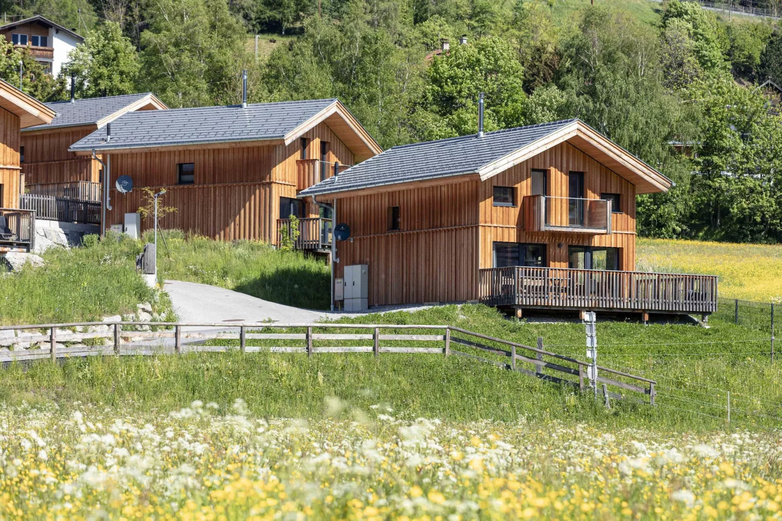 Bergeralm Chalets 1-Buitenkant zomer