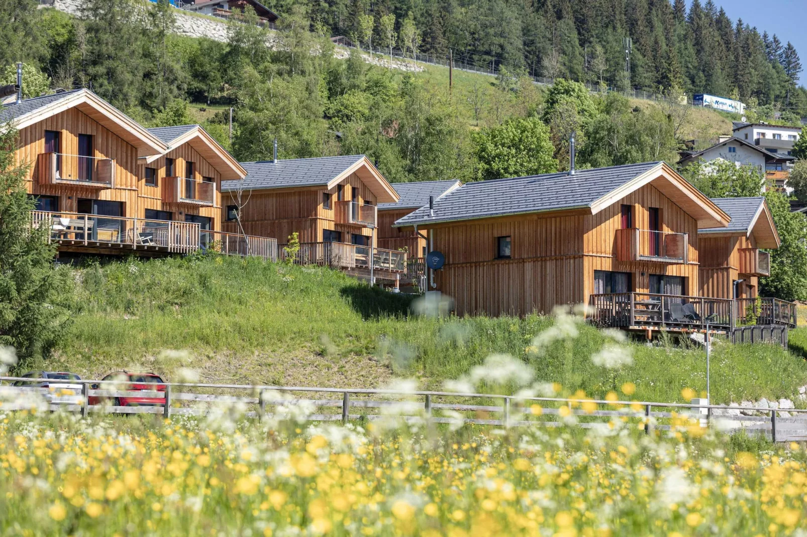 Bergeralm Chalets 1-Buitenkant zomer