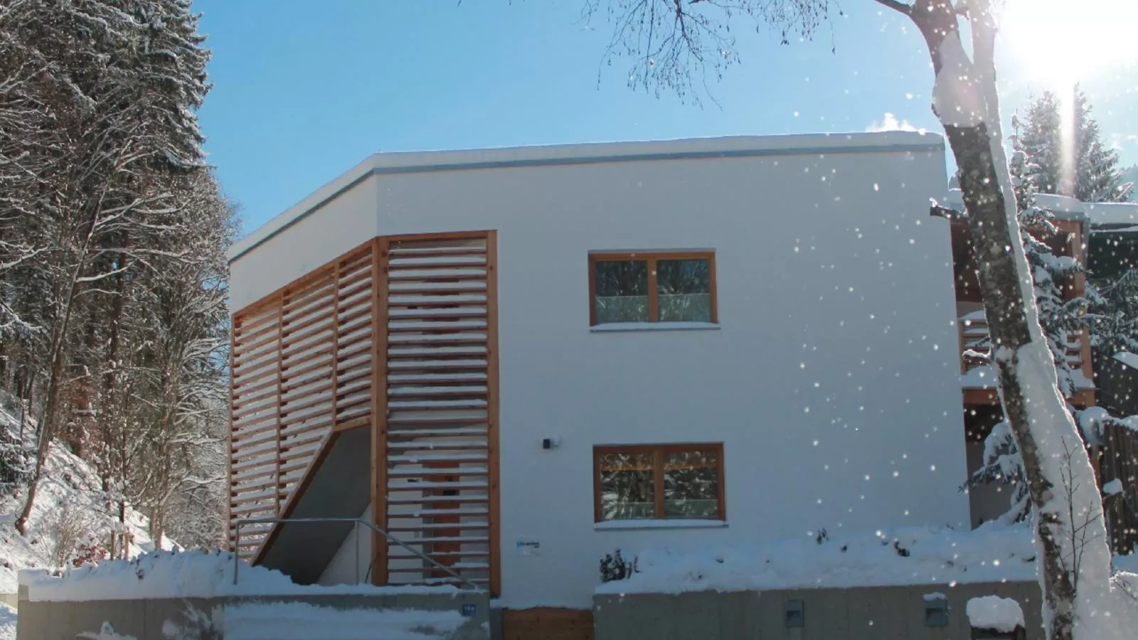 Kitz Apartments Top 6-Exterieur winter