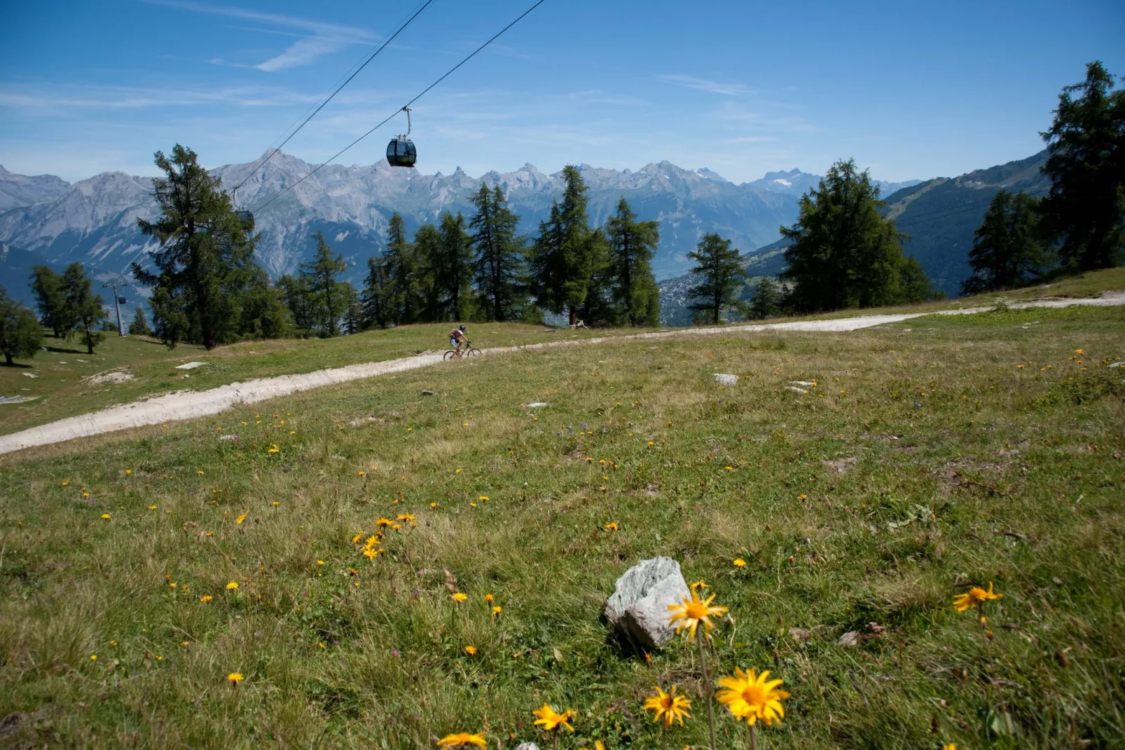 Magrappé M 647 - SKI LIFT apartment 5 pers-Gebieden zomer 5km