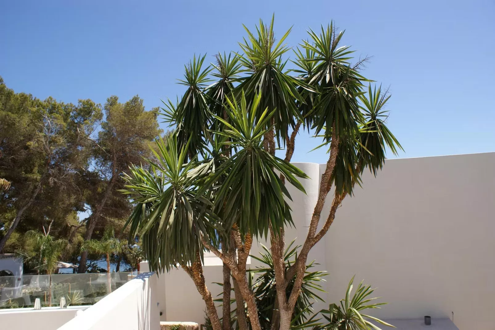 Casa Tranquila S'Argamassa-Terrasbalkon