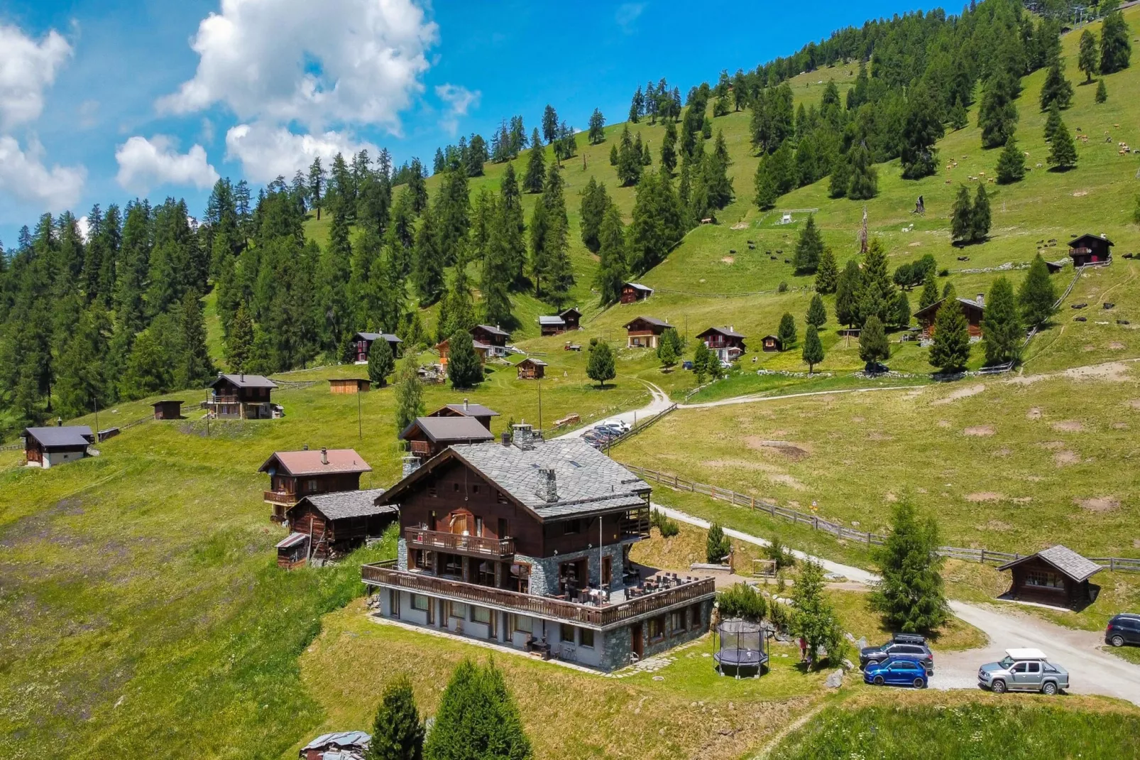 Des Alpes 004 - ON THE SLOPES apartment 16 pers-Gebieden zomer 1km