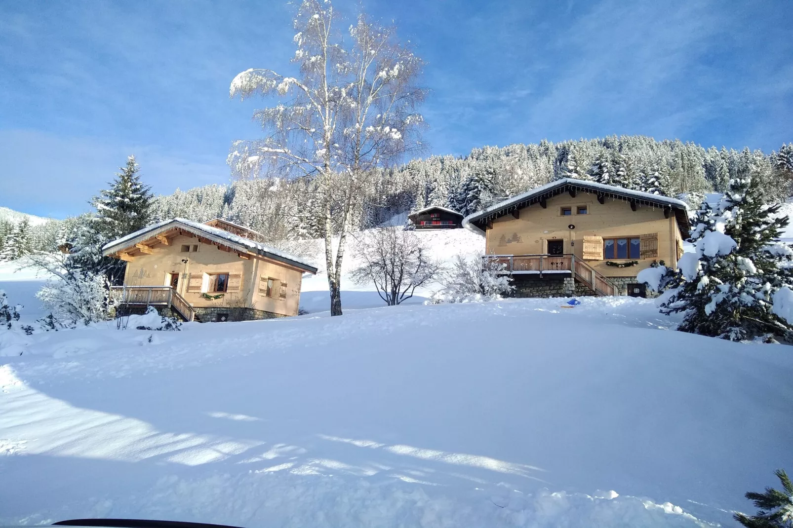 Notre Dame de Bellecombe-Exterieur winter