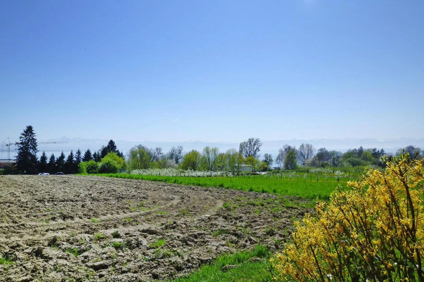 2-Raum-App / Typ A 2 50 qm-Gebieden zomer 1km