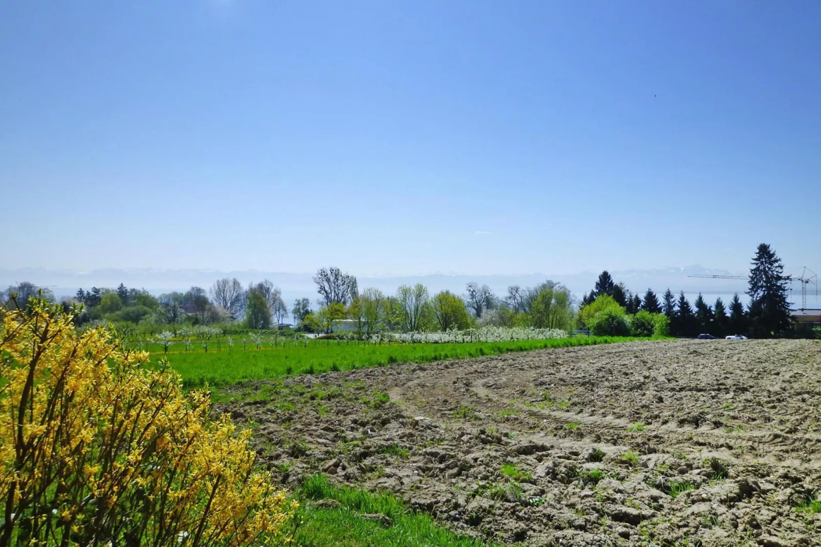 2-Raum-App / Typ A 2 50 qm-Gebieden zomer 1km