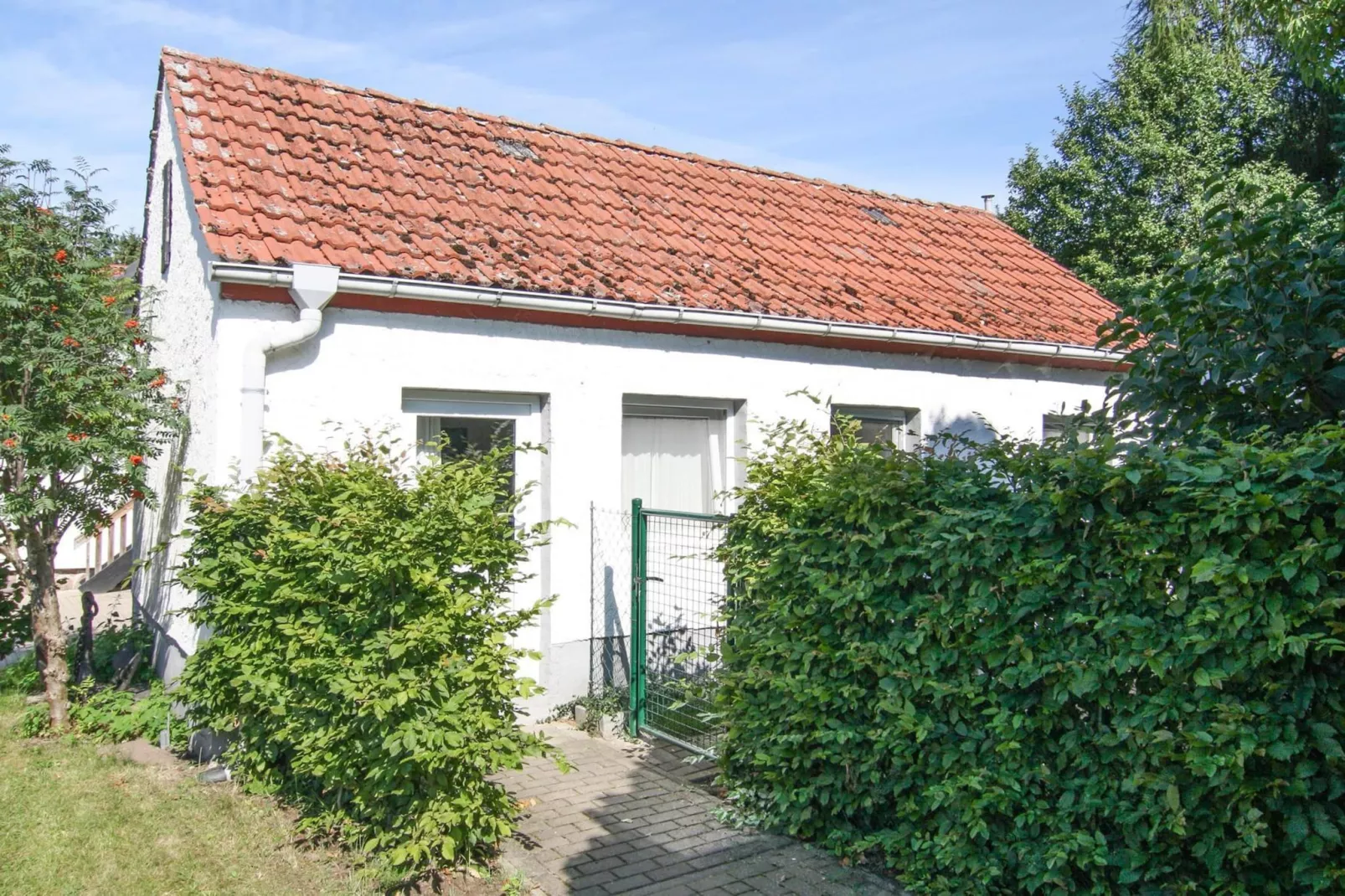 Ferienhaus Gänseblümchen-Buitenkant zomer