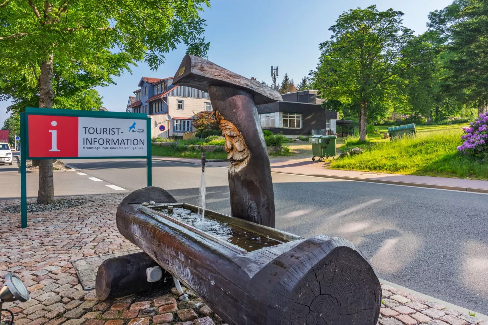 Brockenherz-Gebieden zomer 1km