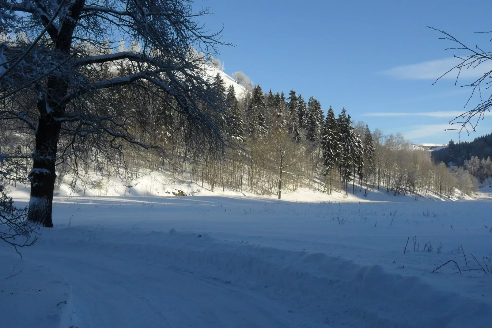 Der alte Kutscherhof-Uitzicht winter