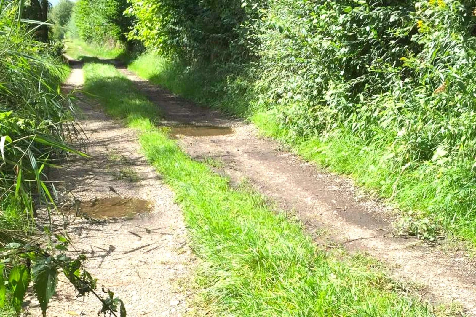 Monteurwohnung am Bauernhof-Gebieden zomer 1km