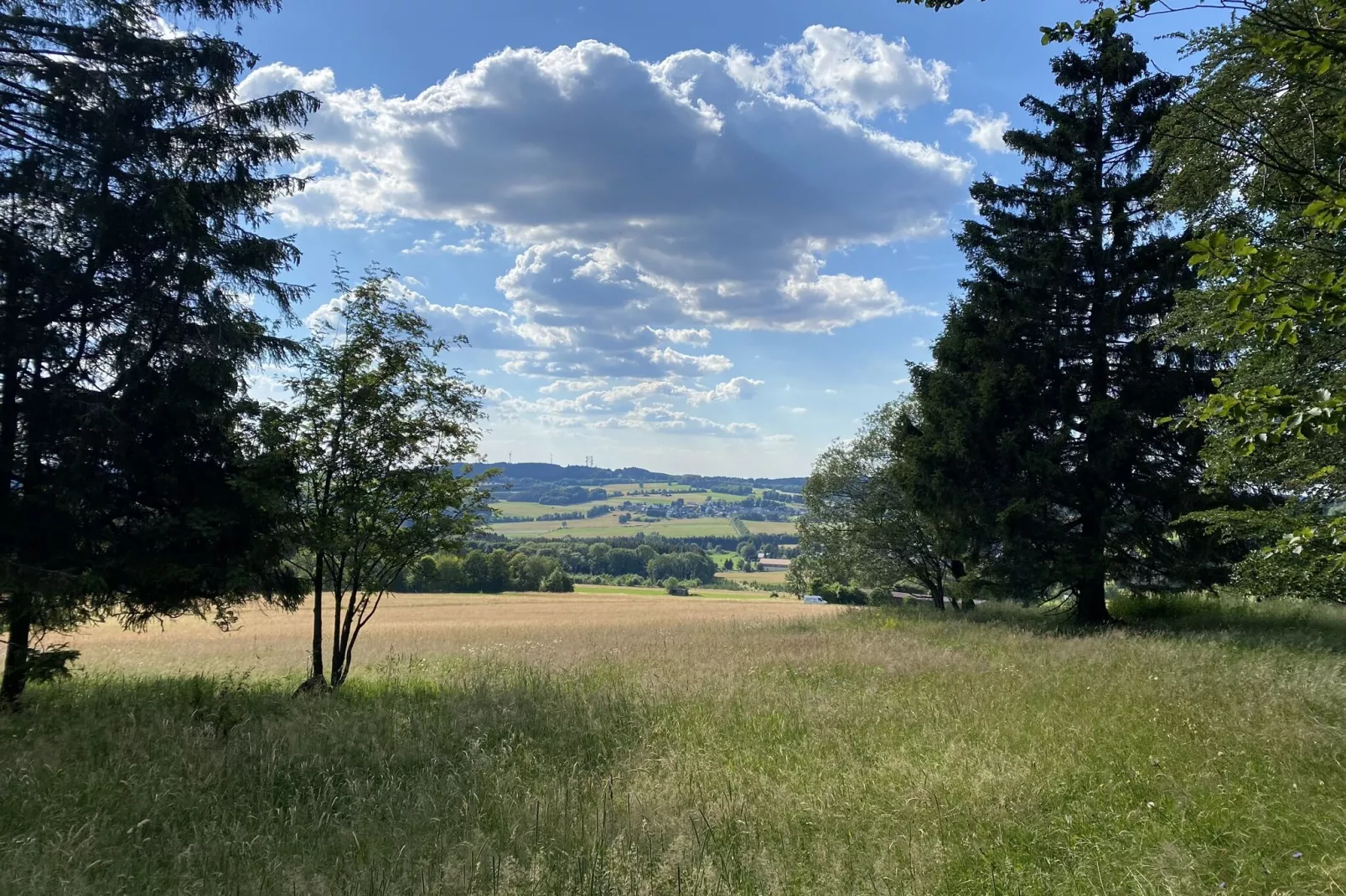 An den Wiesen-Gebieden zomer 1km