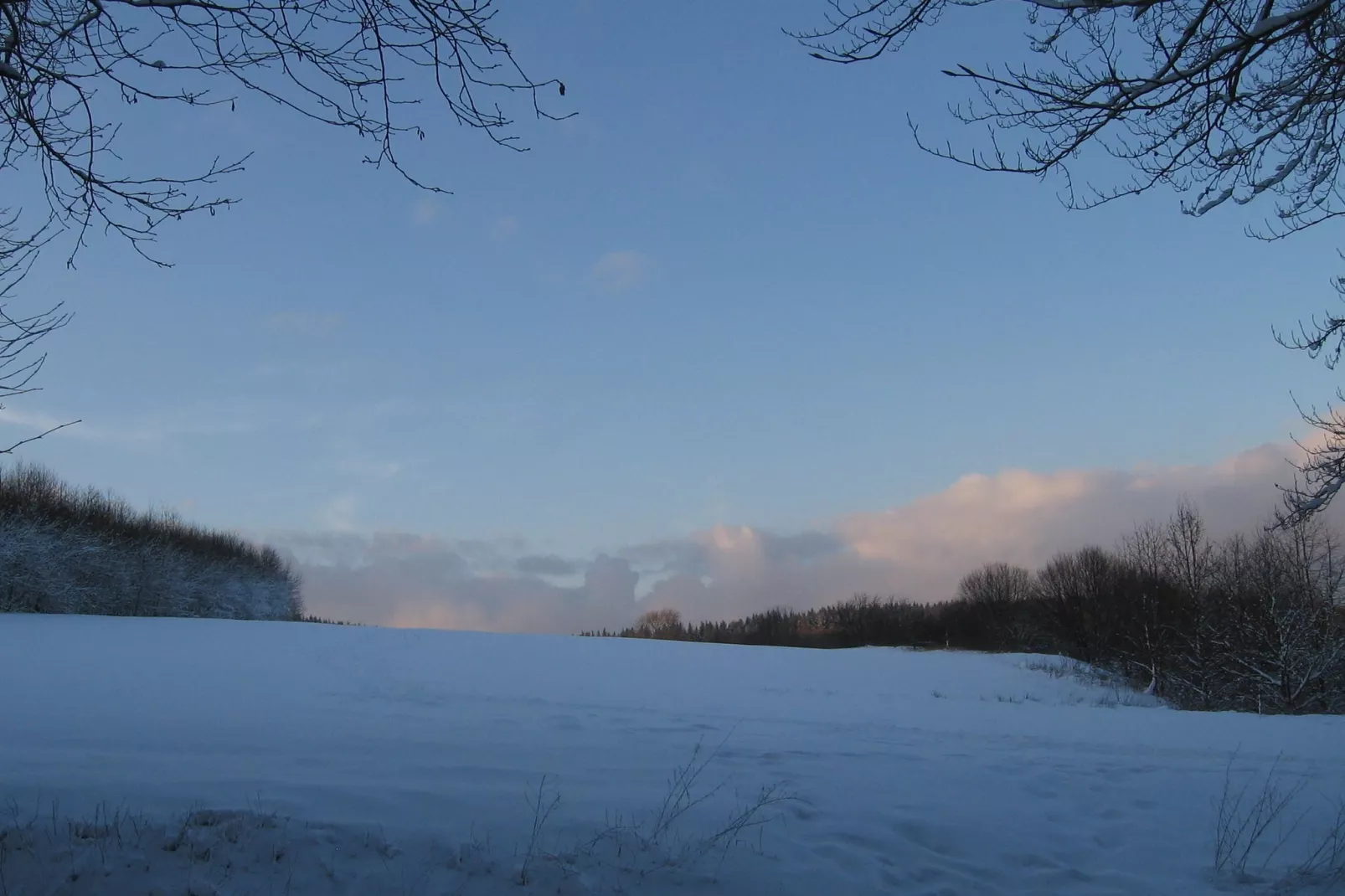 An den Wiesen-Gebied winter 5km