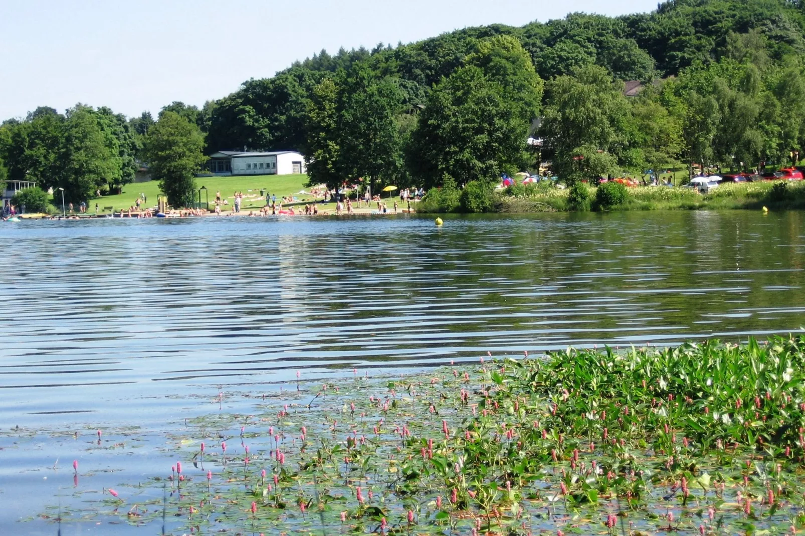 An den Wiesen-Gebieden zomer 20km