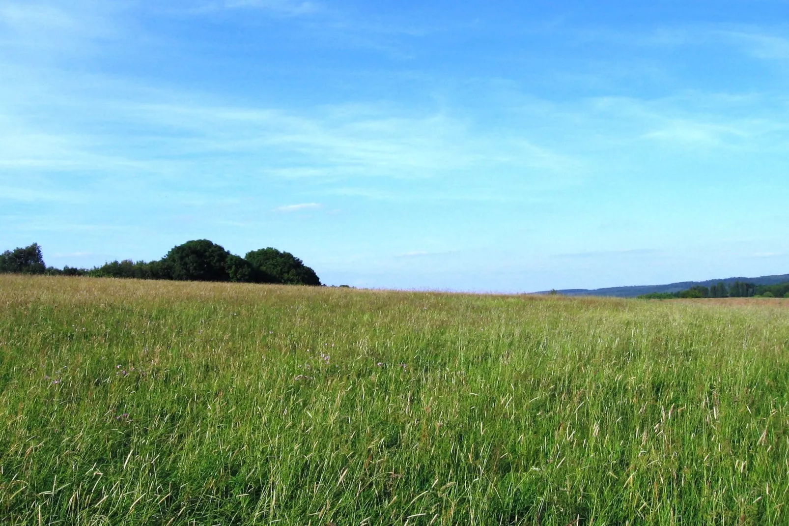 An den Wiesen-Gebieden zomer 20km