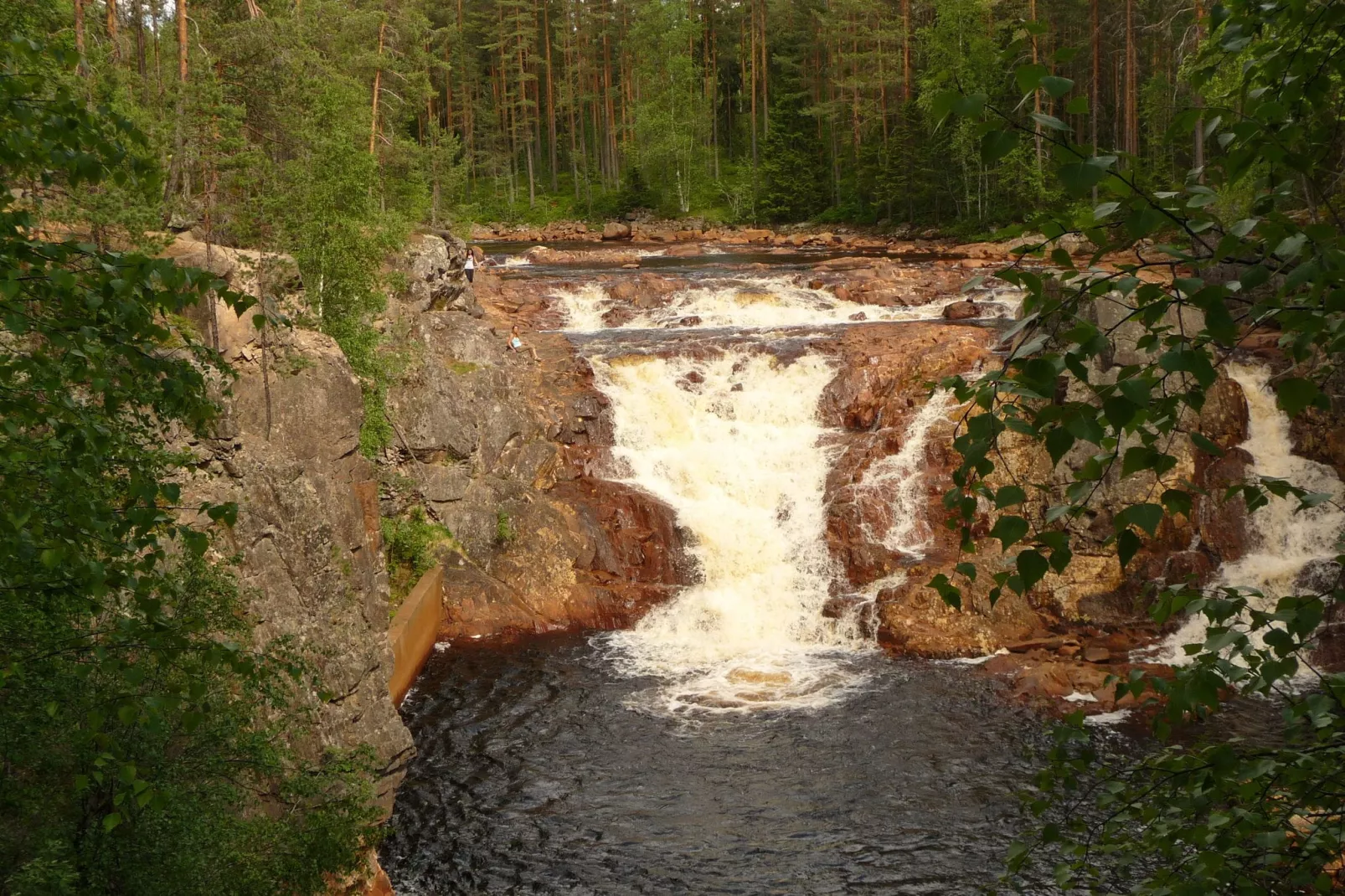 Letafors Herrgård-Gebieden zomer 20km