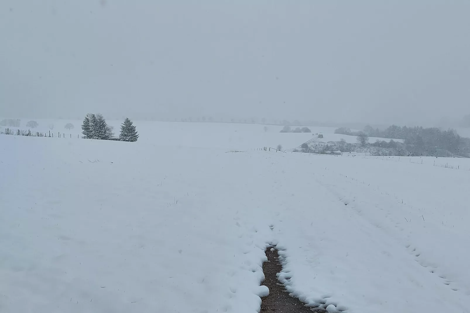 Ferienhaus Waldblick-Uitzicht winter