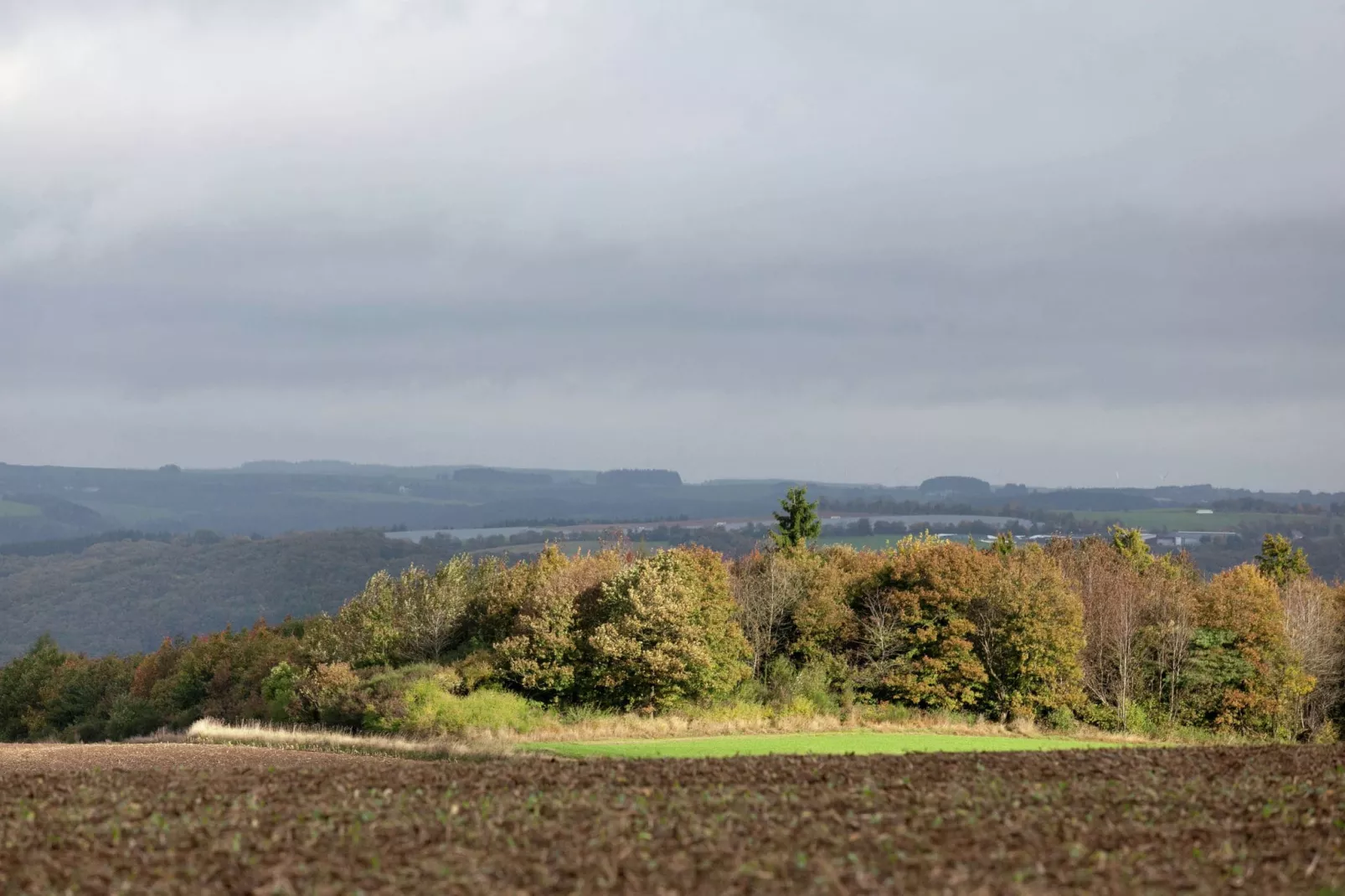 Blick zu Luxemburg