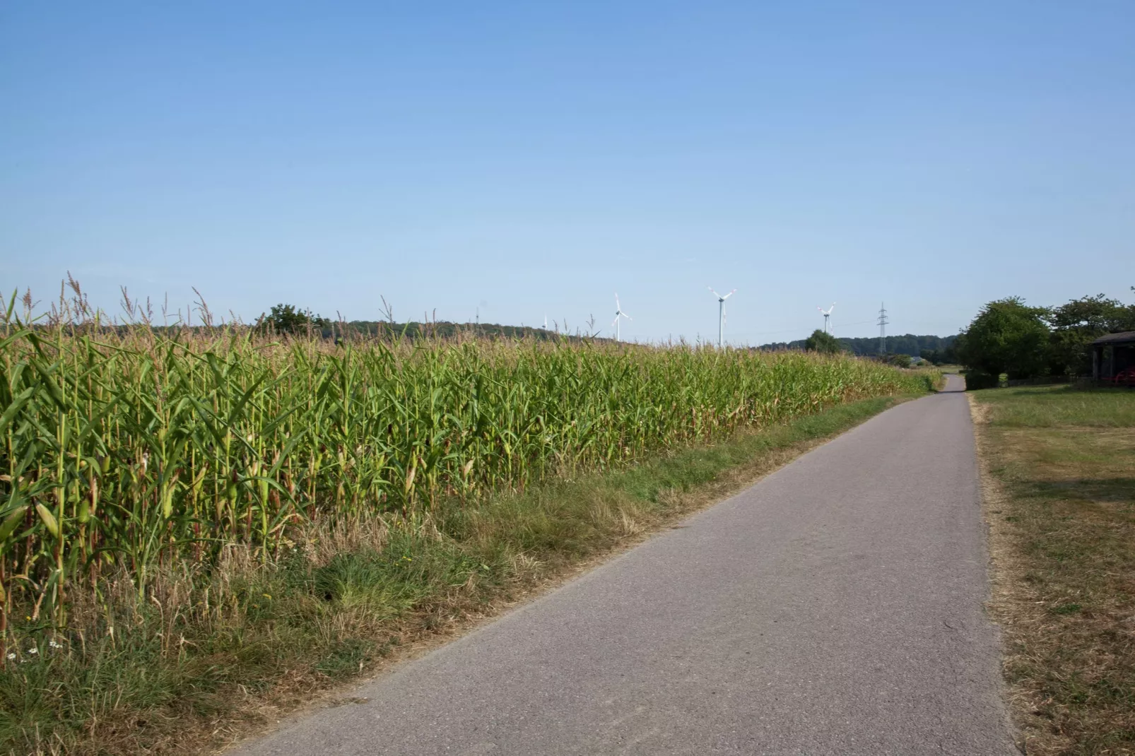 Ferienhaus Irmgard-Gebieden zomer 1km