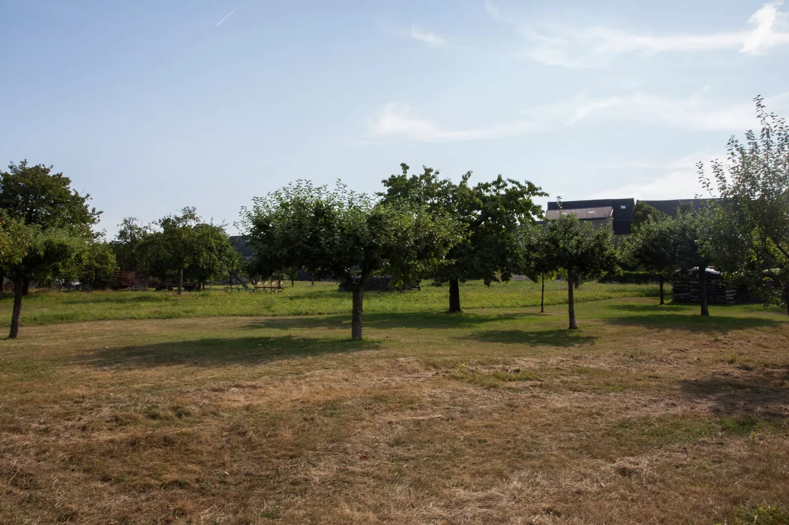 Ferienhaus Irmgard-Gebieden zomer 1km