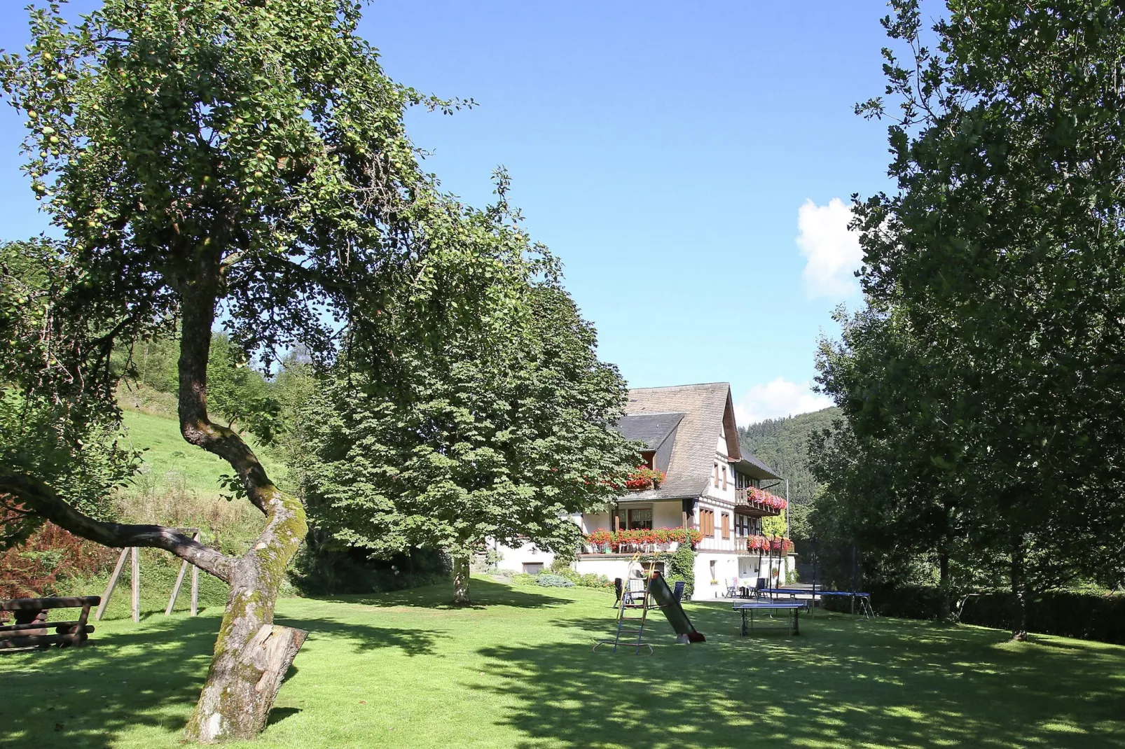 Oberkirchen-Tuinen zomer