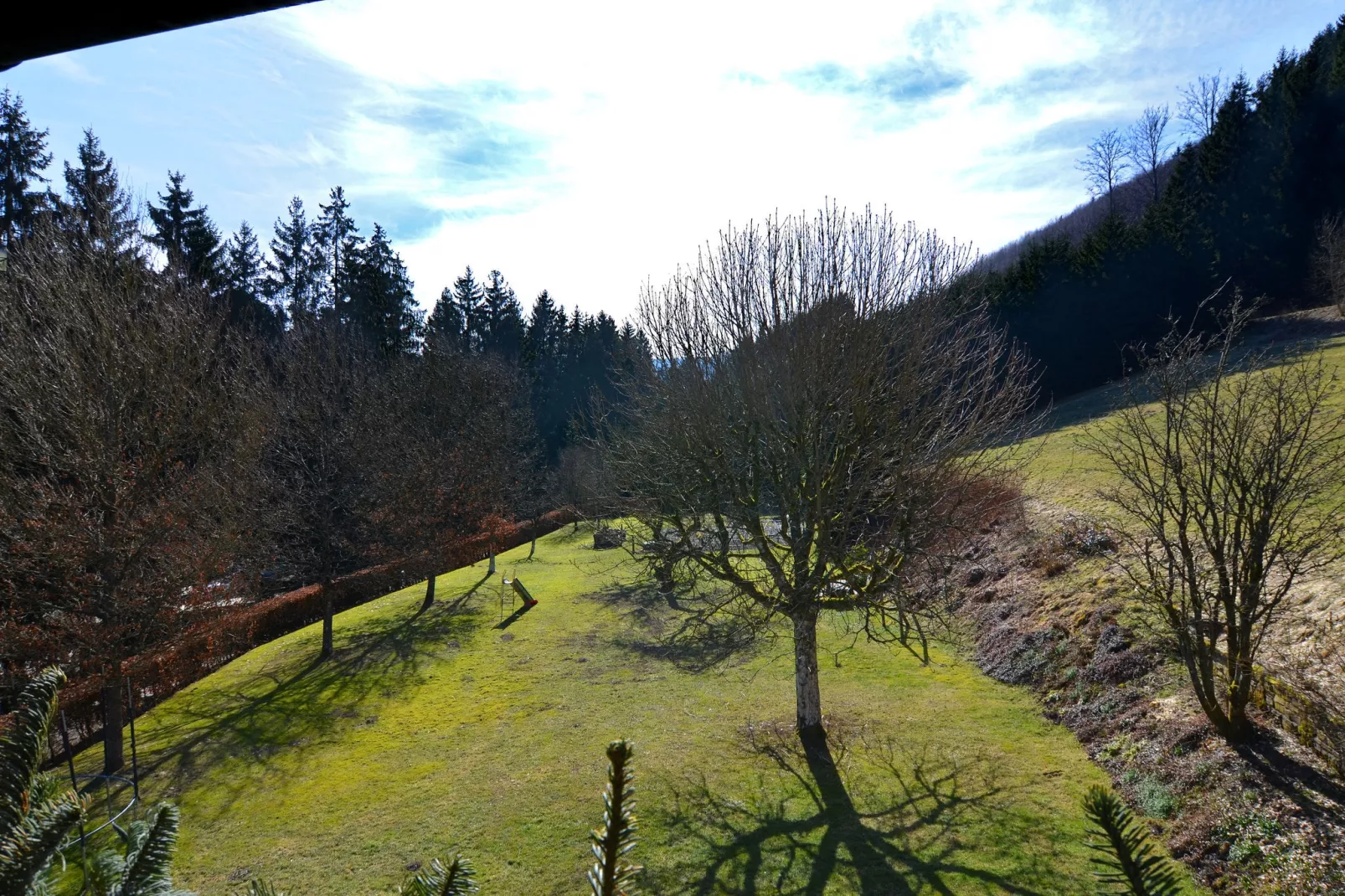 Oberkirchen-Uitzicht zomer