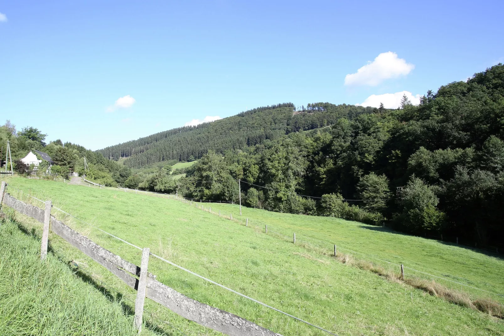 Oberkirchen-Gebieden zomer 1km