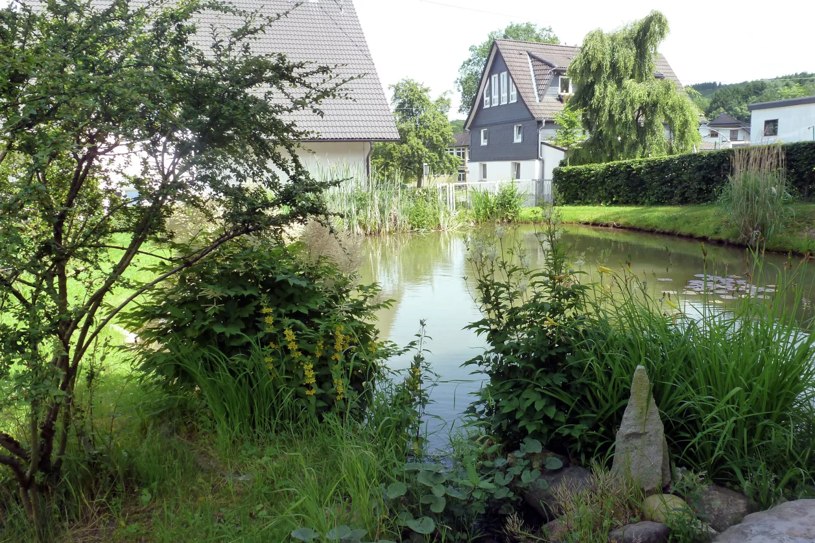 Am Teich-Gebieden zomer 1km