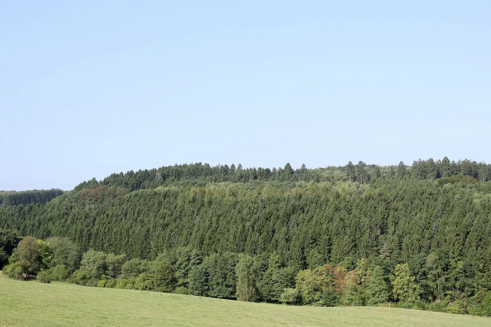 Im Westerwald-Gebieden zomer 1km