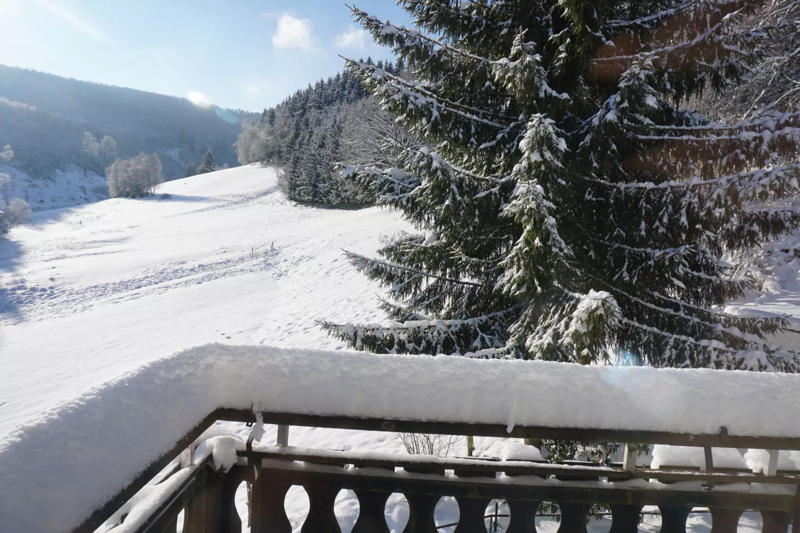 Landhaus Winterberg-Uitzicht winter