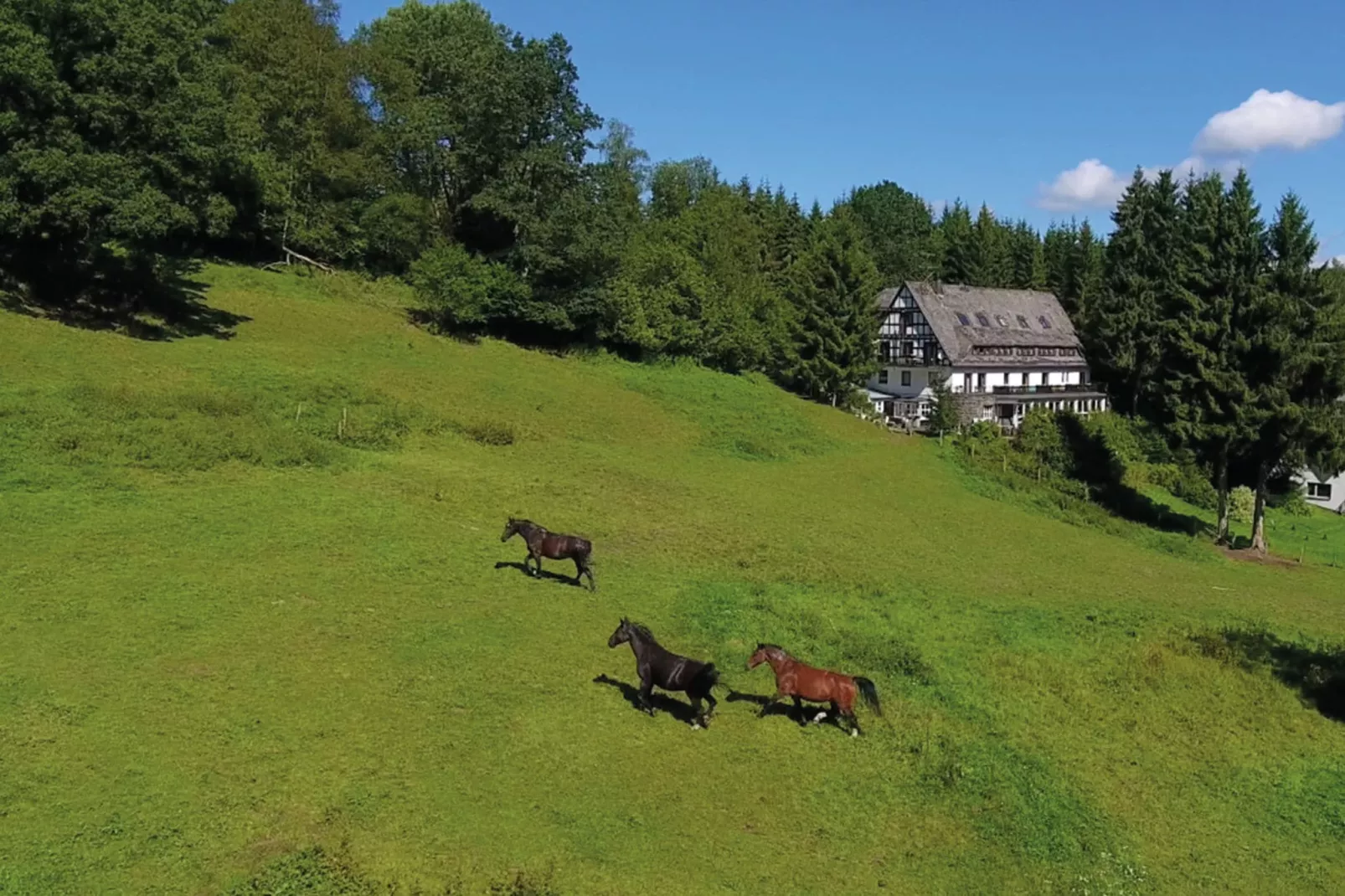 Landhaus Winterberg-Gebieden zomer 1km