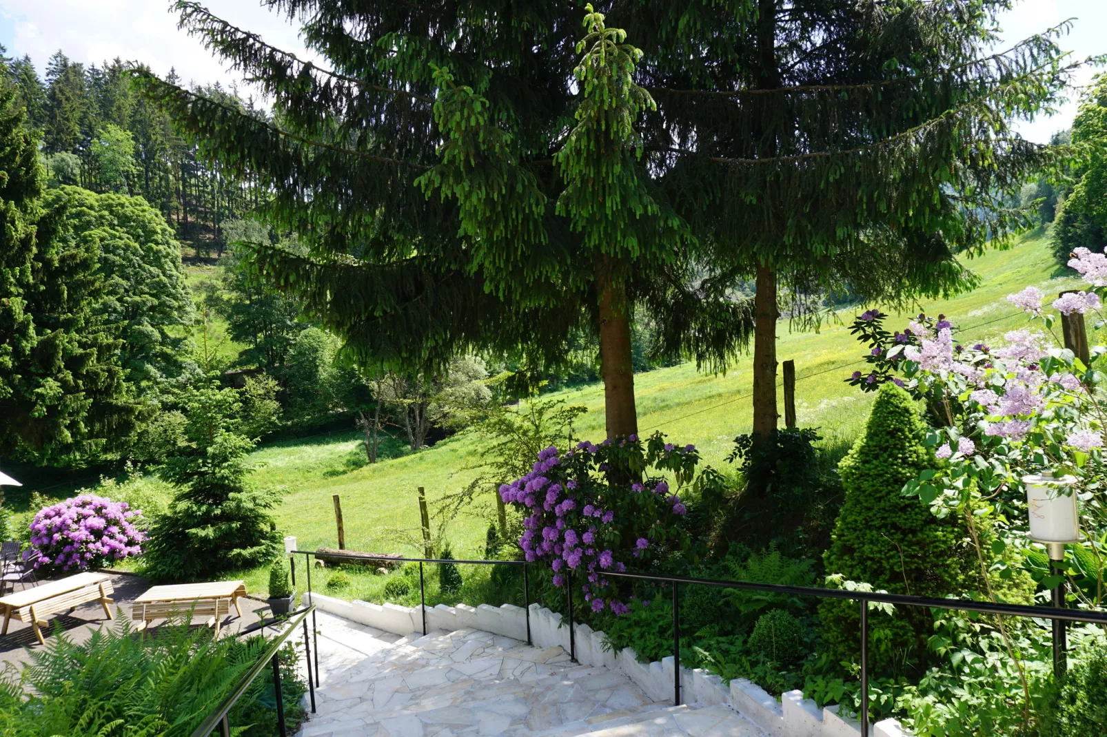 Landhaus Winterberg-Gebieden zomer 1km