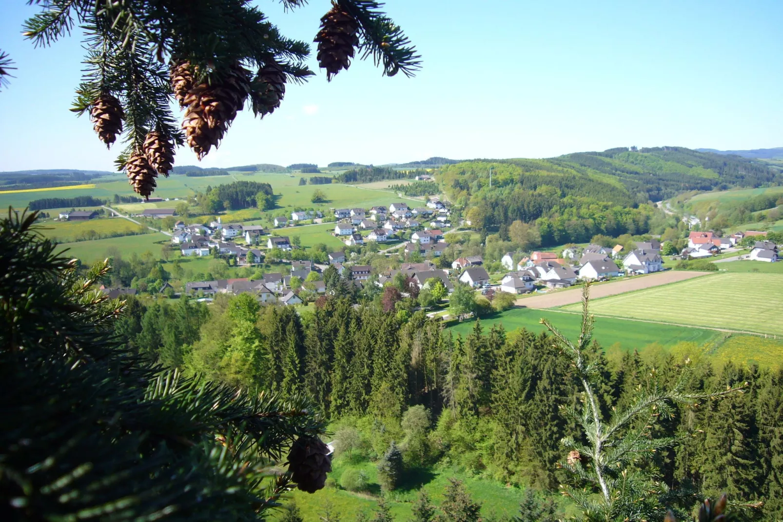 Mause-Gebieden zomer 1km