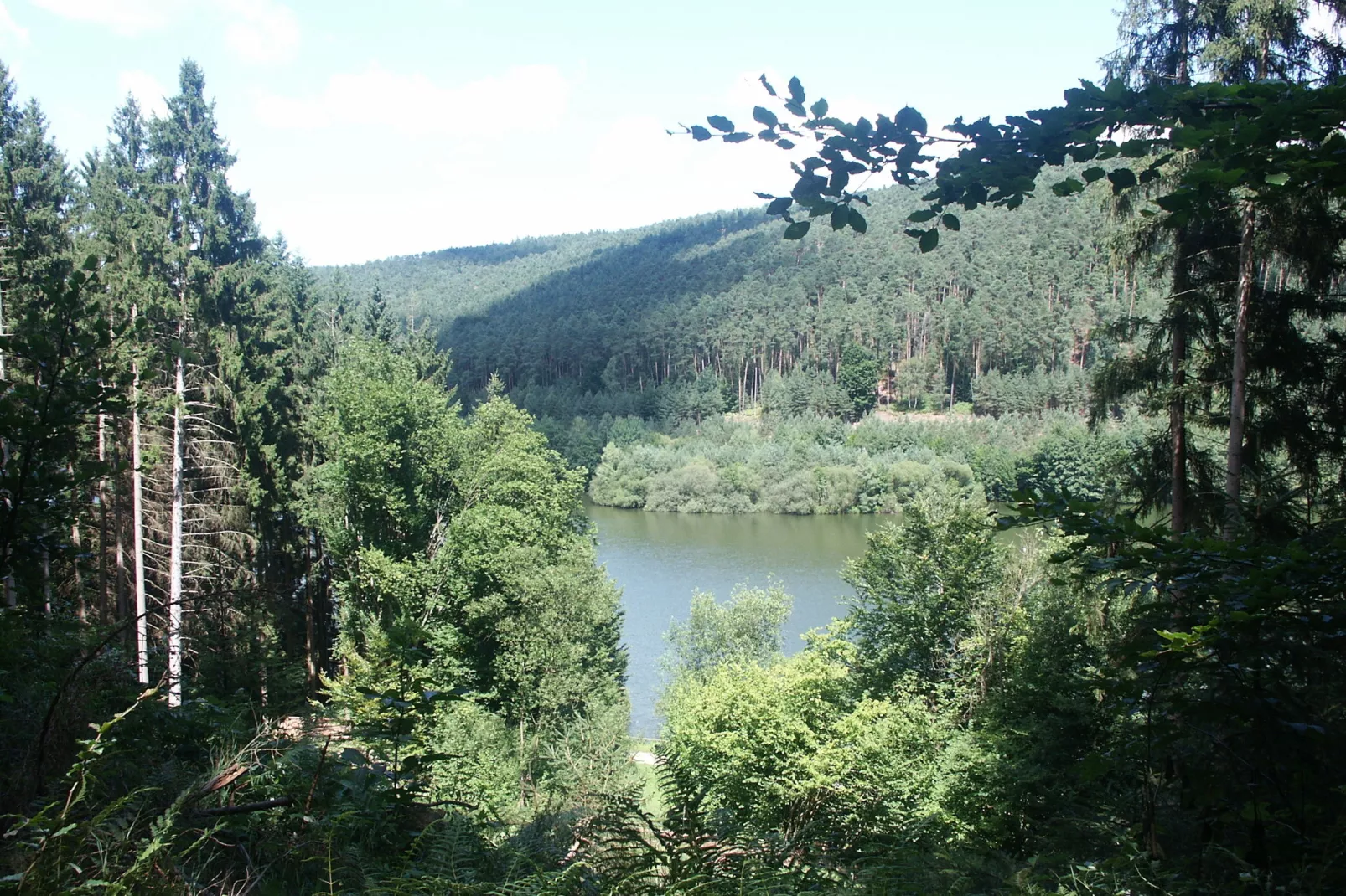 Mossautal-Gebieden zomer 5km