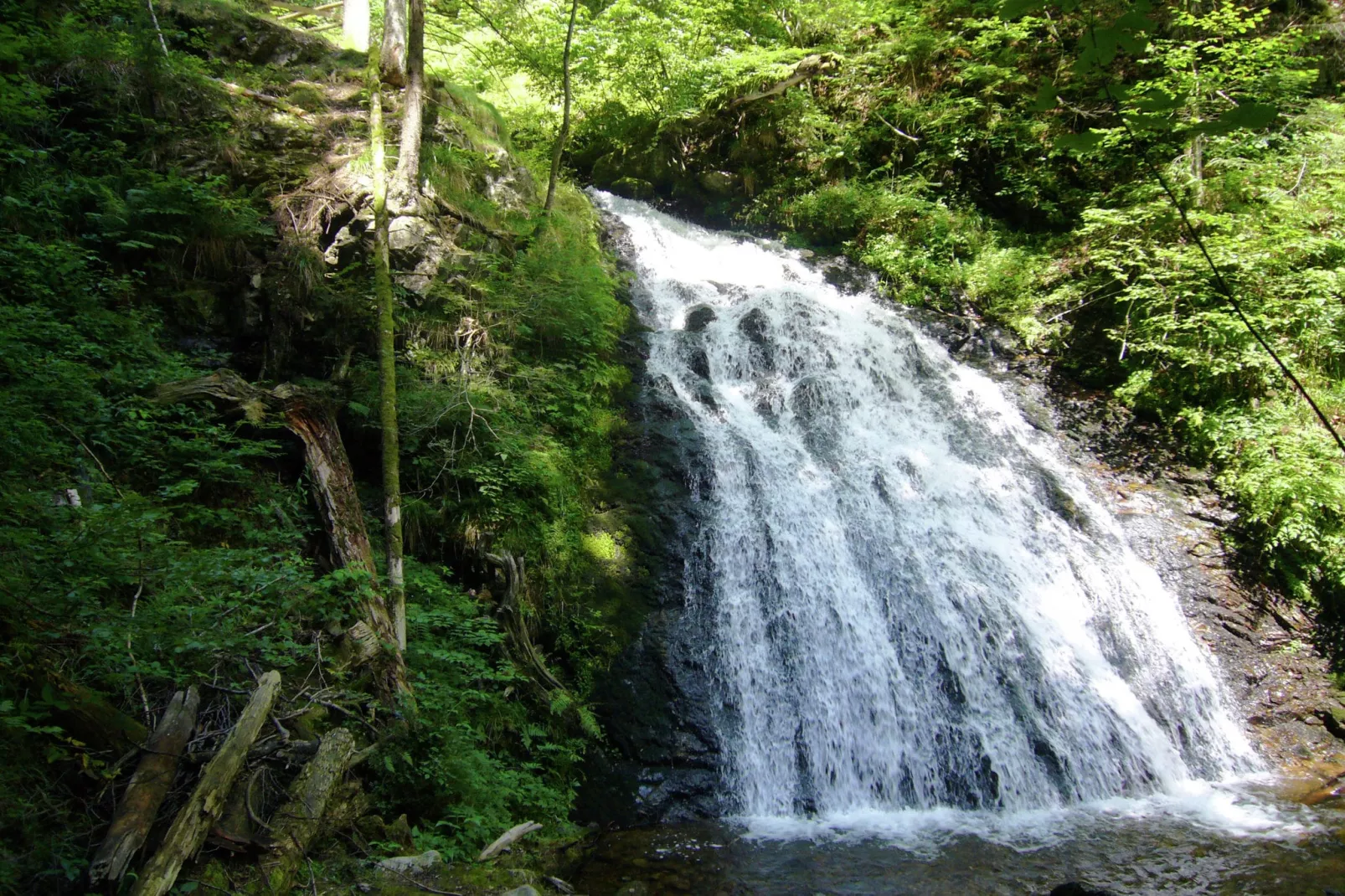 Schwarzwald-Gebieden zomer 1km