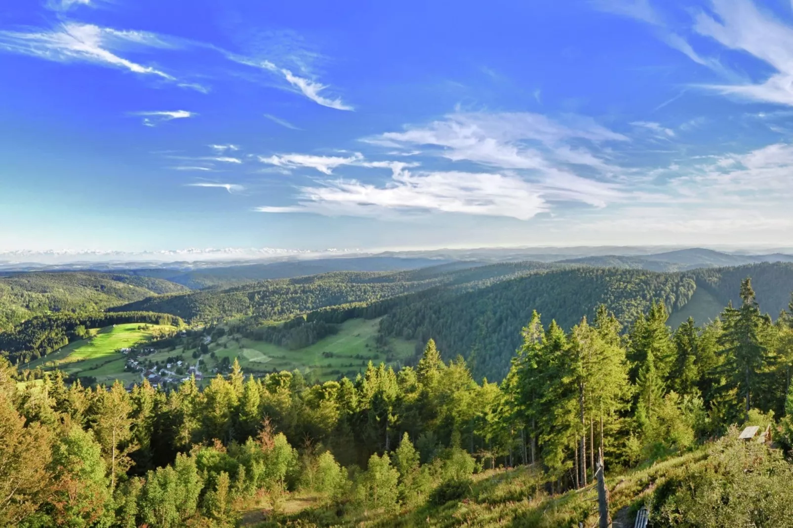 Schwarzwald-Gebieden zomer 20km