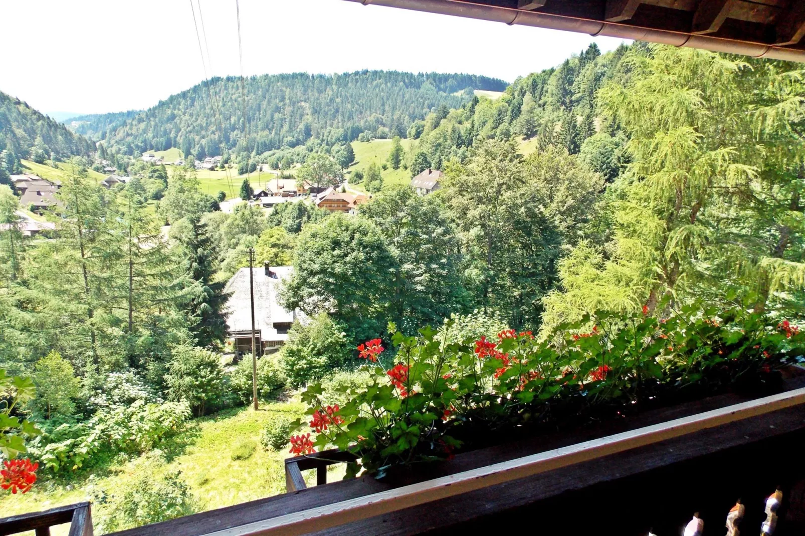 Schwarzwald-Uitzicht zomer