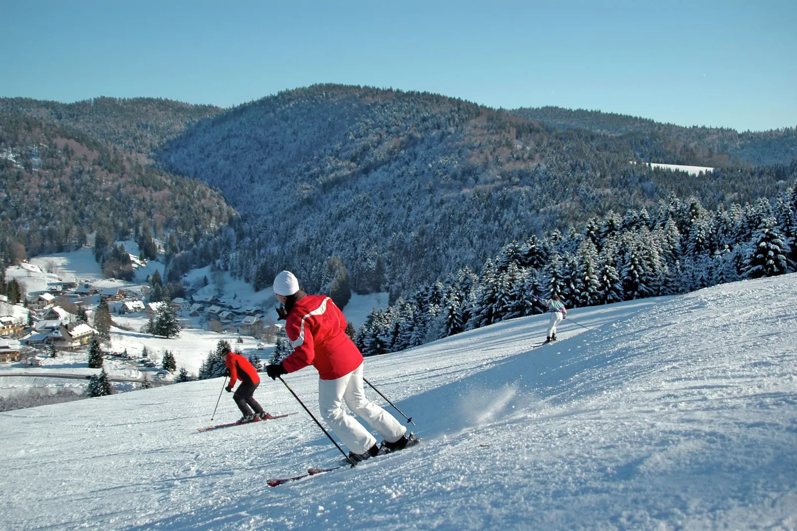 Schwarzwald-Gebied winter 1km