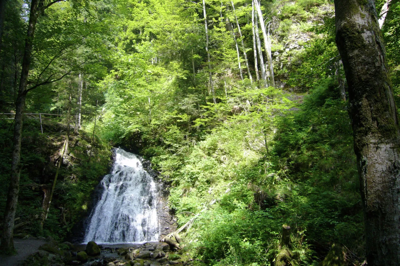 Schwarzwald-Gebieden zomer 1km