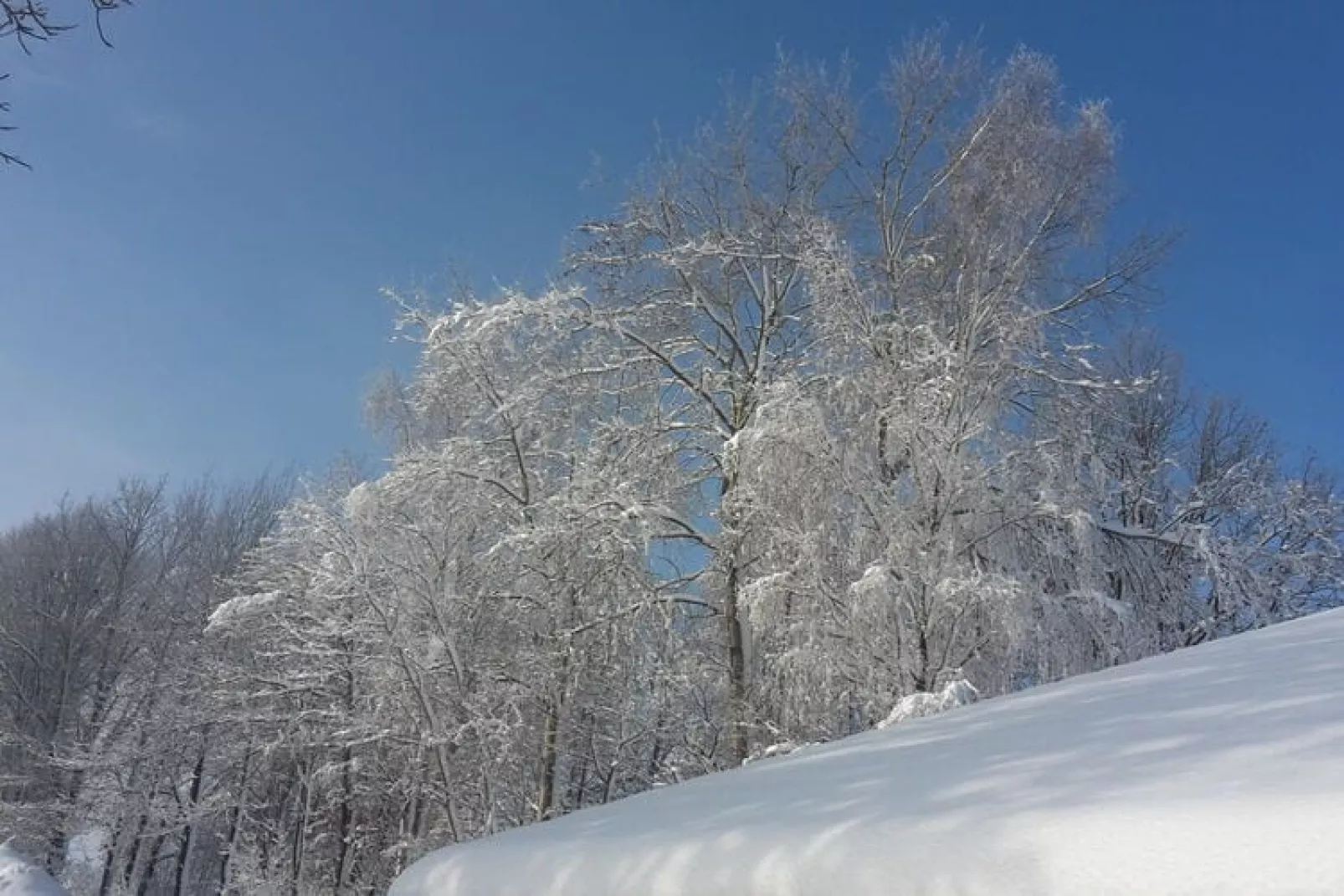 Has'n Res-Uitzicht winter